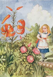 Tiger Lily, de &39;Através do Espelho&39; por Lewis Carroll (1832-98)